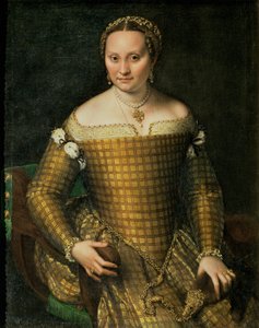 Portrett av kunstnerens mor, Bianca Ponzoni Anguisciola, 1557